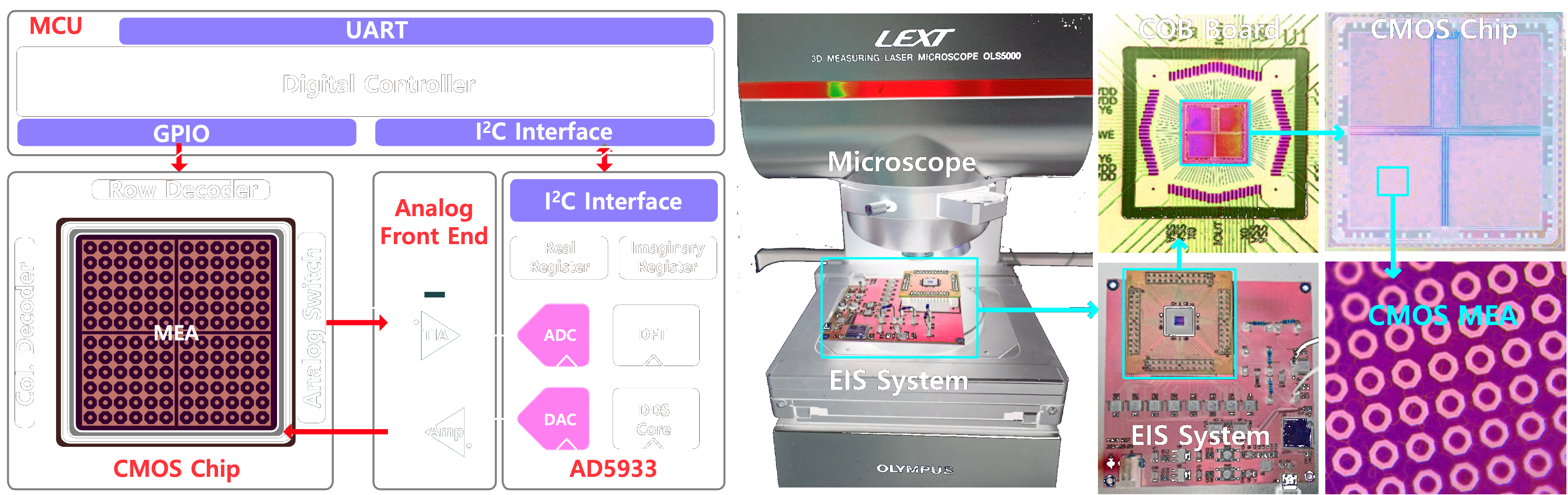 Biosensor Architecture